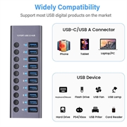 10-porters USB 3.0 Hub med individuelle strømbrytere - Grå