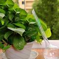 3 stk. Selvvanningsglass for planter - 70 ml - Klar