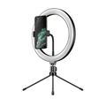 APEXEL APL-FL10JJ13Y 26 cm LED-ringlys for selfie-fotografering med stativ og telefonholder