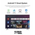 DCOLOR GD1 4K Android 11 TV Stick m. Chromecast - 2GB/16GB