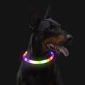 LED-lysende hundehalsbånd for nattvandring - USB-oppladbart