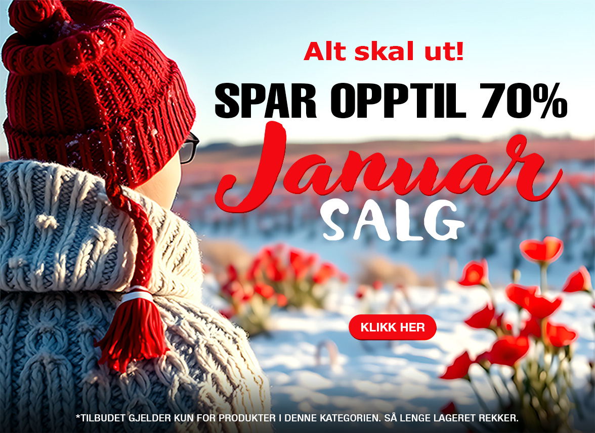 JanuarySale